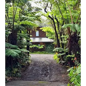 Inn The Pacifica Volcano